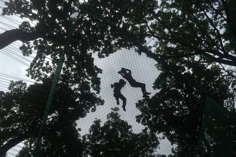 Pilotage de drones au cœur de la forêt image1