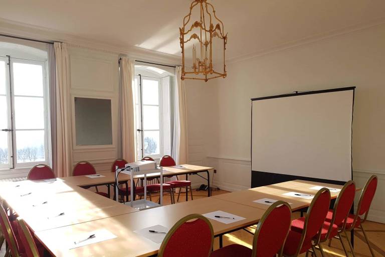 Salles de réunion du Château de Voltaire image2