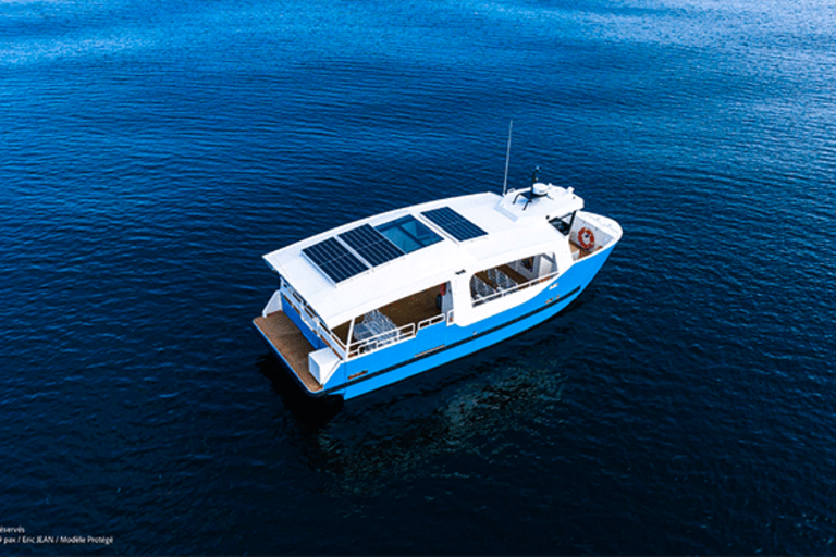 Naviguez en bateau hybride sur le Léman ! image1