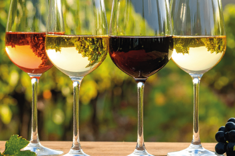 Visite du domaine et dégustation image2