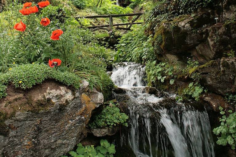 Visite du Jardin Botanique La Jaÿsinia à Samoëns avec guide image2