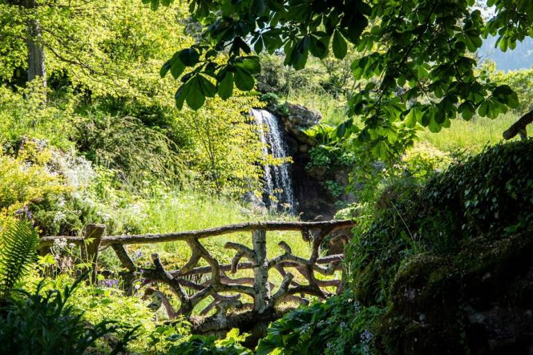 Visite du Jardin Botanique La Jaÿsinia à Samoëns avec guide image1