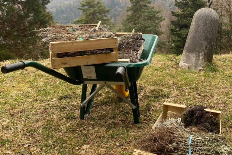 Séjour confidentiel dans un domaine privé avec vue Mont-Blanc image2