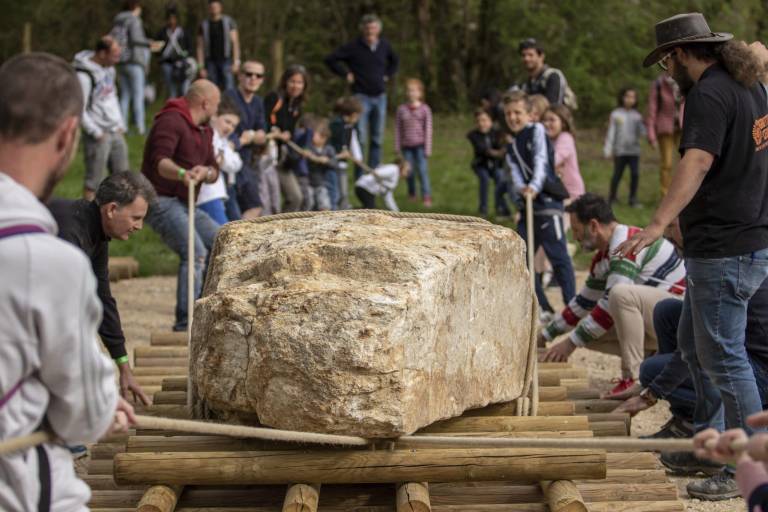 Primitive skills, feu, chasse &amp; menhir image1