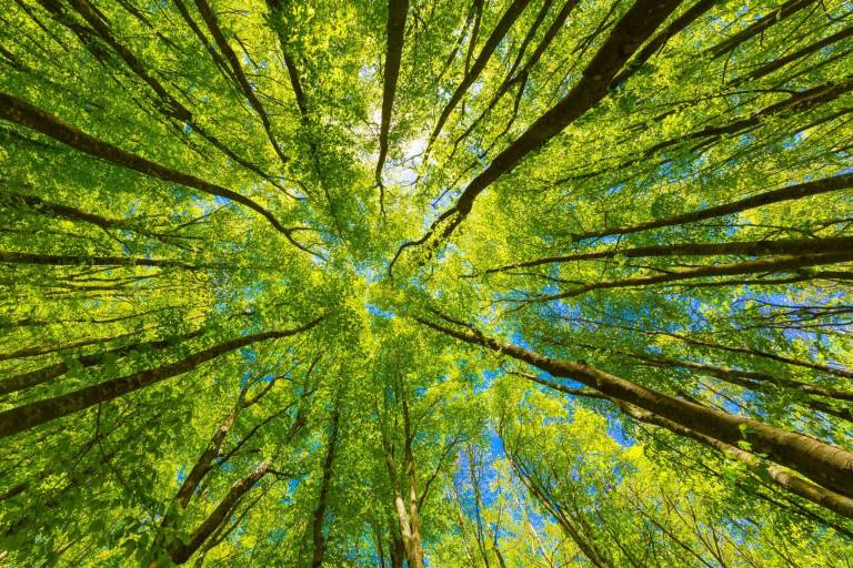 Ateliers de sensibilisation à l'environnement image2
