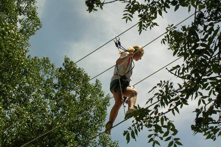 Un teambuilding à Forestland image1