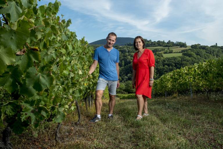Balade dans le vignoble et dégustation au château ou au caveau image1