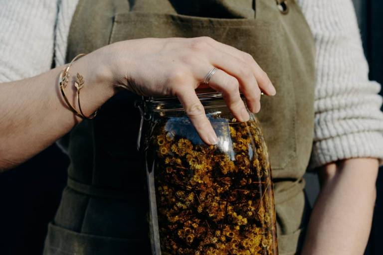 Découvre les secrets des plantes médicinales image1