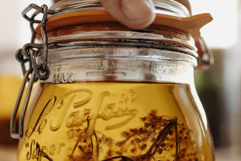 Découvre les secrets des plantes médicinales image2