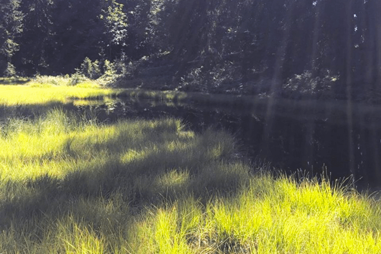 Un bain de tourbière, oser la nature ! image2
