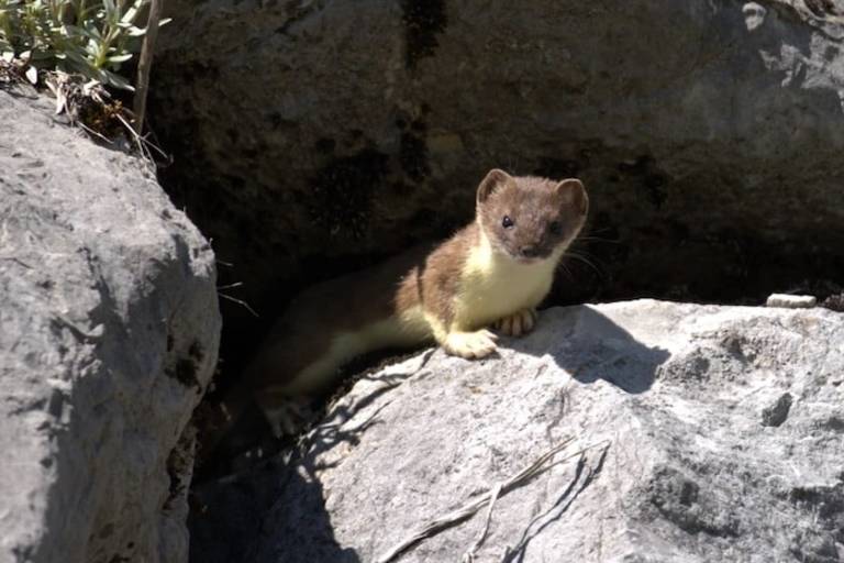 Prenez le temps pour observer image2