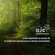 S'inspirer du vivant pour développer son entreprise