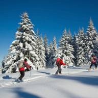 Balades raquettes, vive la nature !