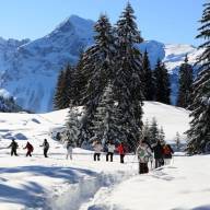 Sortie raquettes aux CARROZ