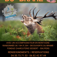 Fondue du brame