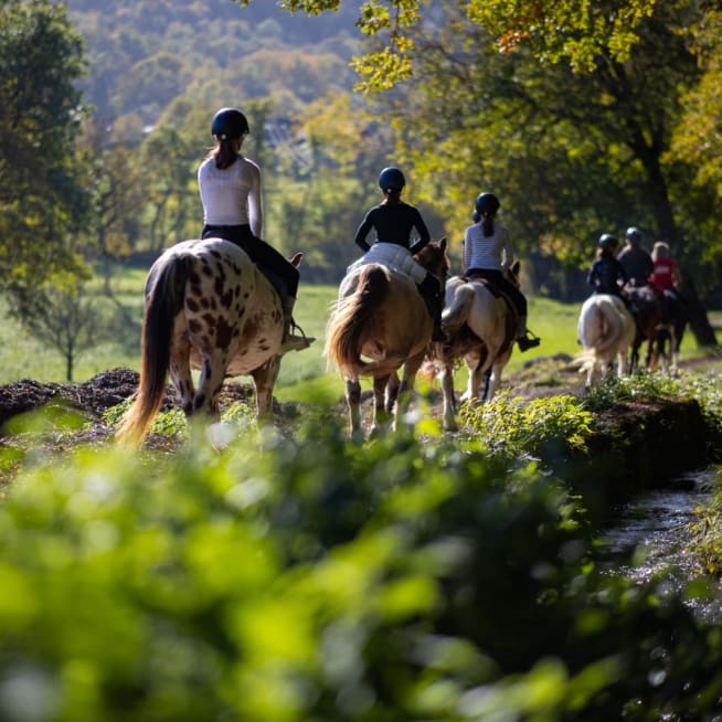 Teambuilding à Cheval en Haute-Savoie
