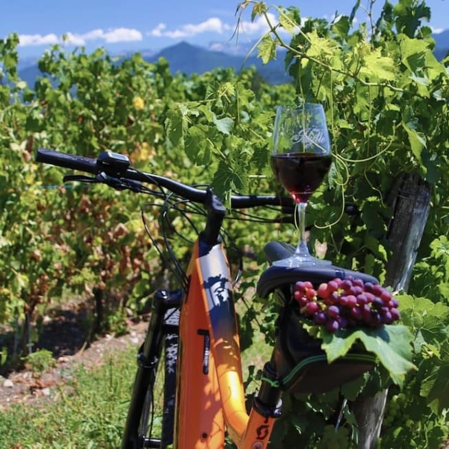 Vino Vélo : expérience sportive et gastronomique dans les vignobles de Savoie