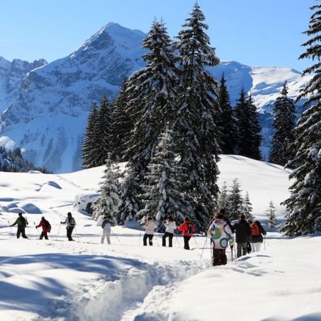 Sortie raquettes aux CARROZ