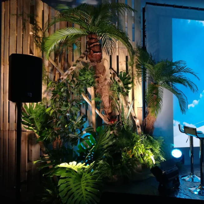 Location de plantes et décoration florale pour vos événements d’entreprise