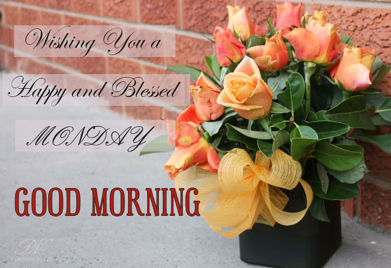 Happy and Blessed Monday - Premium Wishes