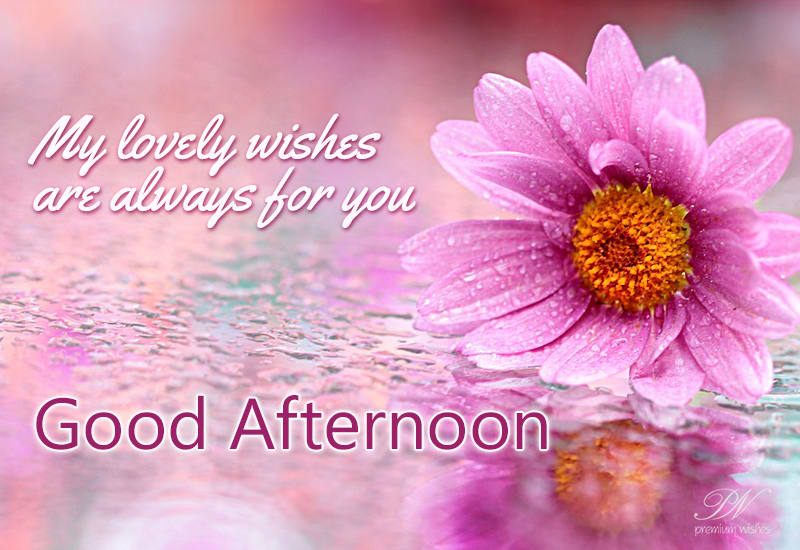 My wishes are always for you - Good Afternoon - Premium Wishes