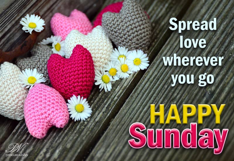 Happy Sunday Spread love wherever you go Premium Wishes