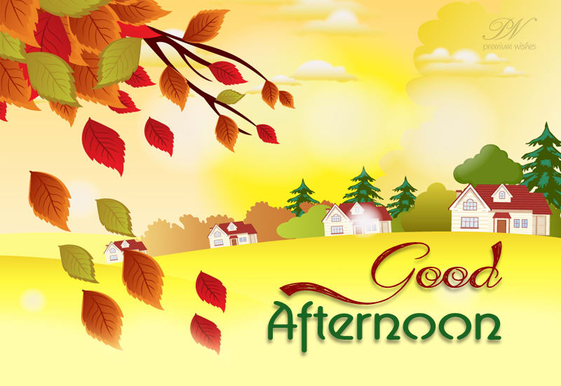 Enjoy the Sun Friends – Good Afternoon | Good Afternoon Wishes ...