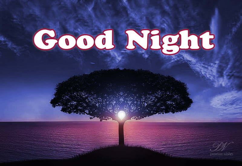 Good Night - Enjoy The Moon - Premium Wishes