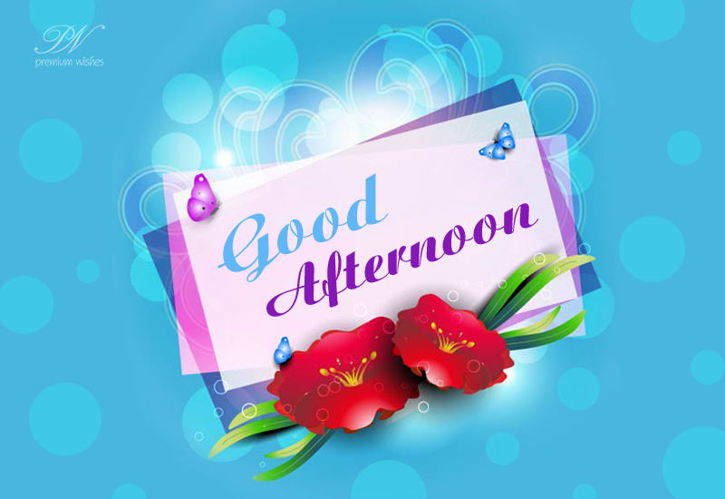 Good Afternoon Friends – Wish Your Family With Flowers | Good Afternoon ...