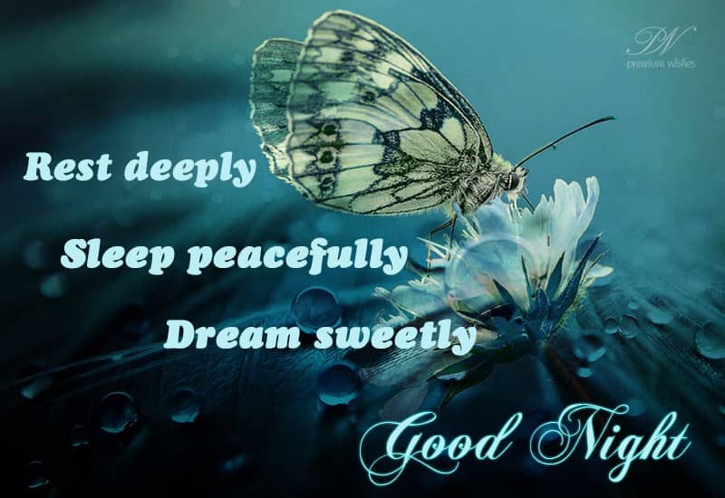 Good Night Rest Deeply, sleep peacefully, dream sweetly Premium Wishes