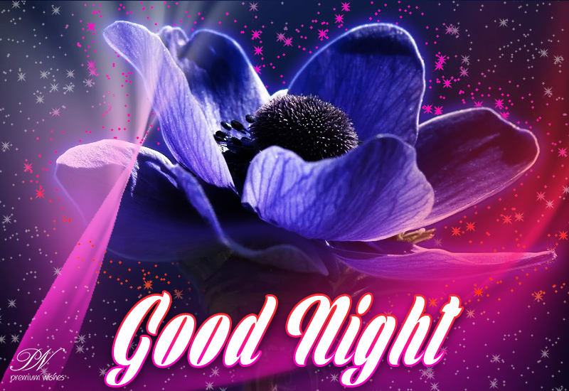 Good Night - Friends Stay Home and Remain Safe - Premium Wishes