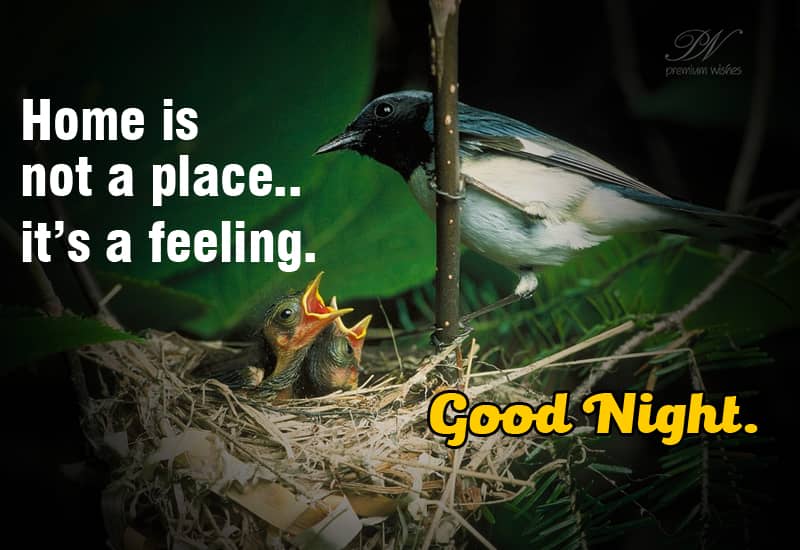 Good Night Home is a feeling Premium Wishes