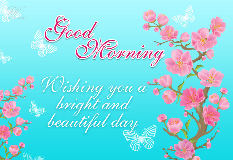 Good Morning Wishing You A Bright And Beautiful Day Premium Wishes