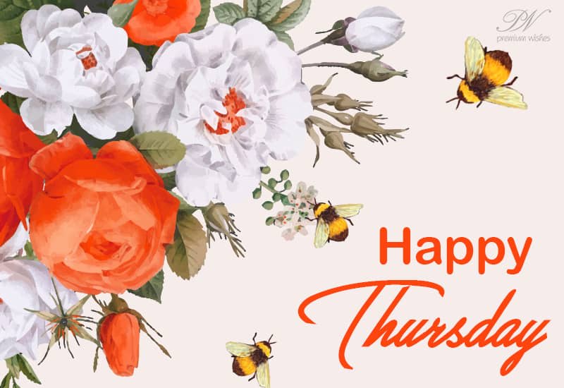 Happy Thursday Enjoy the colours and flowers Premium Wishes