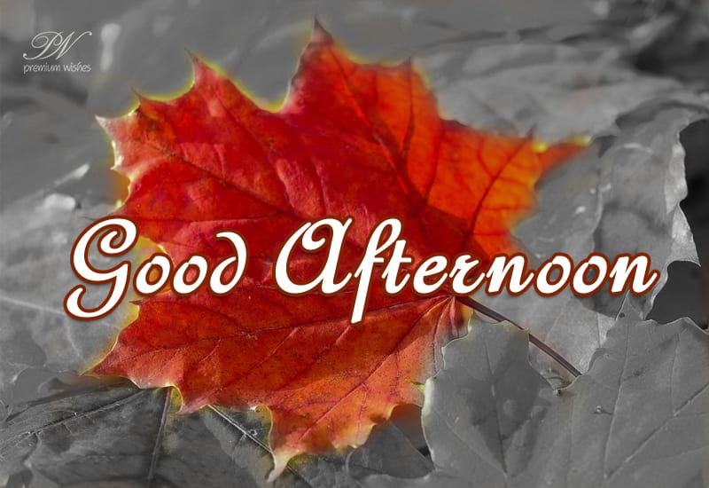 Hear the leaf murmuring - Good Afternoon - Premium Wishes