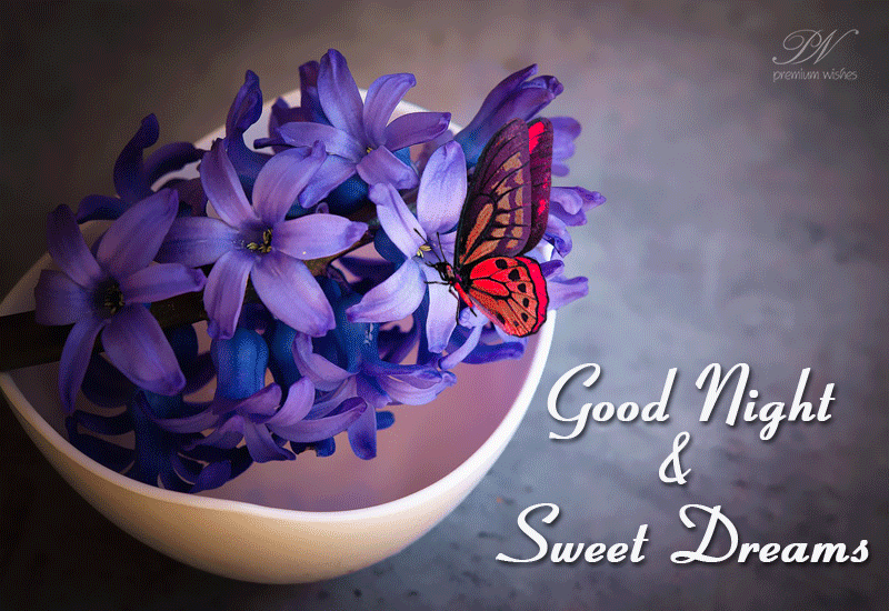 Good Night Dear Sleep Well Premium Wishes