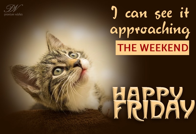 Happy Friday Friday Happy Friday Friday Quotes Friday Images Friday Image Quotes Good Morning Happy Friday Its Friday Quotes Happy Friday Pictures