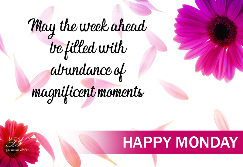 Happy Monday May The Week Ahead Be Filled With Magnificent Moments