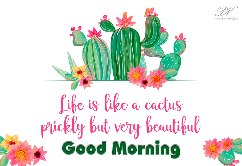 Good Morning - Life is like cactus prickly but beautiful - Premium Wishes