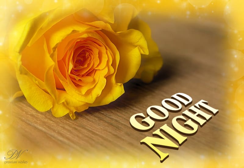 A rose for you - Good Night Friends - Premium Wishes