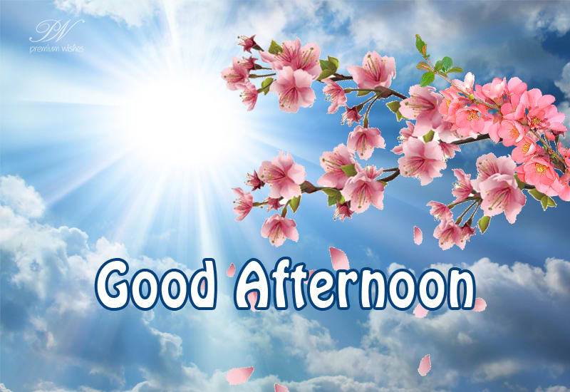 Good Afternoon Messages For Friends - Premium Wishes