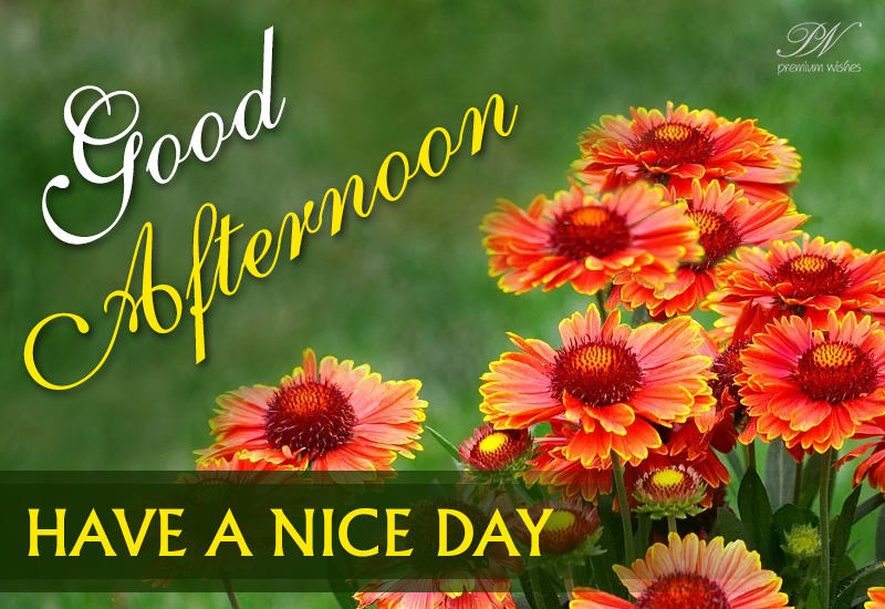 Good Afternoon Friends - Spread love - Premium Wishes