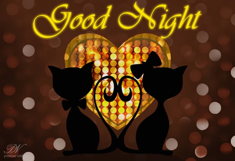 Have a lovely night Remain Safe Sleep Well Premium Wishes