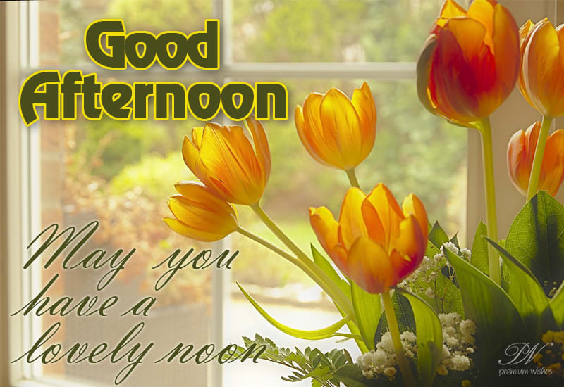 May you have a lovely noon - Premium Wishes