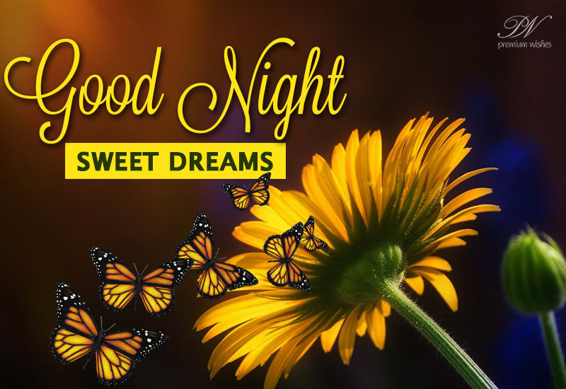 Good Night Sweet Dreams Sleep And Rejuvinate Premium Wishes Good Night Sweet Dreams Sleep And Rejuvinate Premium Wishes