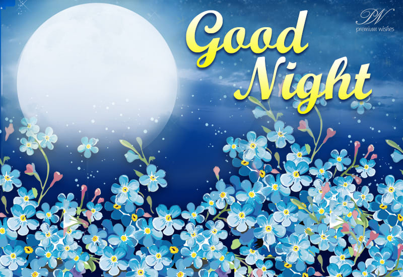 Good Night - The moon is shining and so are you - Premium Wishes