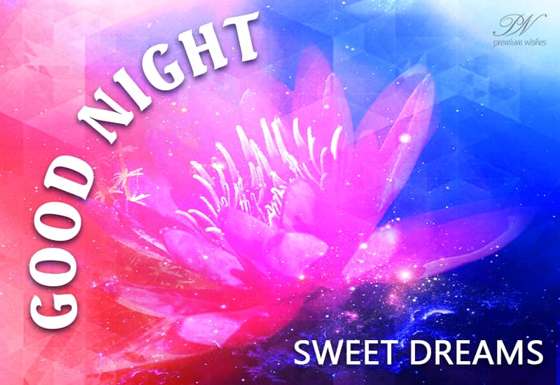 Sweet Dreams Good Night Stay Safe Premium Wishes