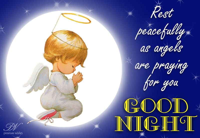 Good Night Rest Peacefully As Angels are Praying For you Premium Wishes