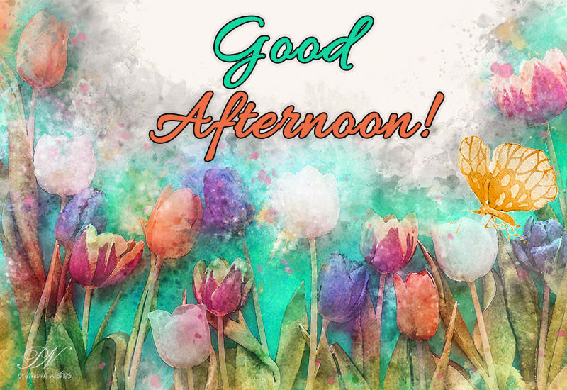 Good Afternoon Messages For Friends - Premium Wishes
