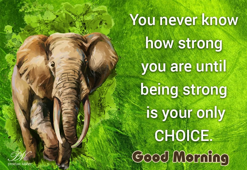 Good Morning Being strong is your only choice Premium Wishes